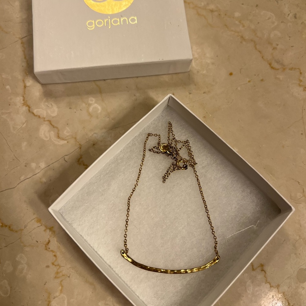 Gorjana necklace